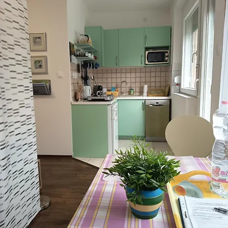 Appartement Vig *