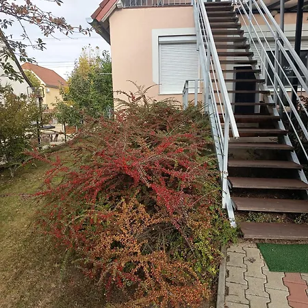 Apartamento Vig *